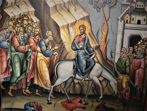 ΠΟΙΜΑΝΤΟΡΙΚΗ  ΕΓΚΥΚΛΙΟΣ ΥΠ’ ΑΡΙΘΜΟΝ  132 Ἐπί τῇ Βαϊοφόρῳ Εἰσόδῳ τοῦ Κυρίου